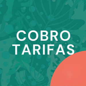 T101.11 Formas de cobro y tarifas