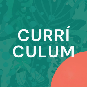 T101.14 Currículum