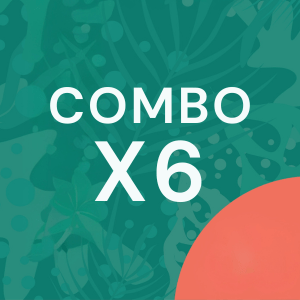 T101. Combo x6 - 15% OFF
