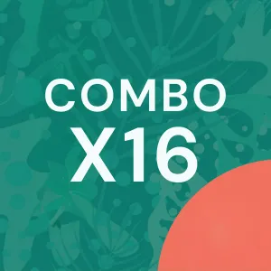 Combo x16