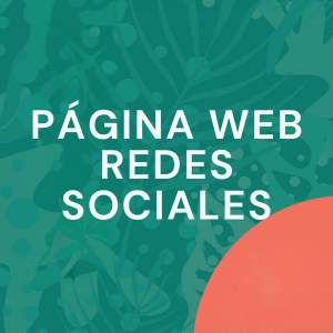 T101.6 Página web y redes sociales